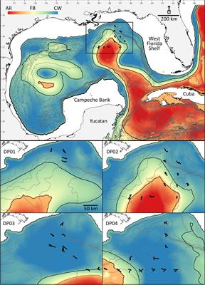 Oceanographic Structure and Light Levels Drive Patterns of Sound Scattering Layers in a Low-Latitude Oceanic System